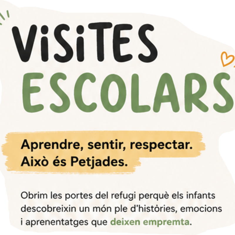 visites